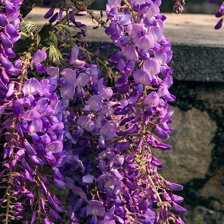 Il Glicine B&B Ristorante Cazzago San Martino Zewnętrze zdjęcie