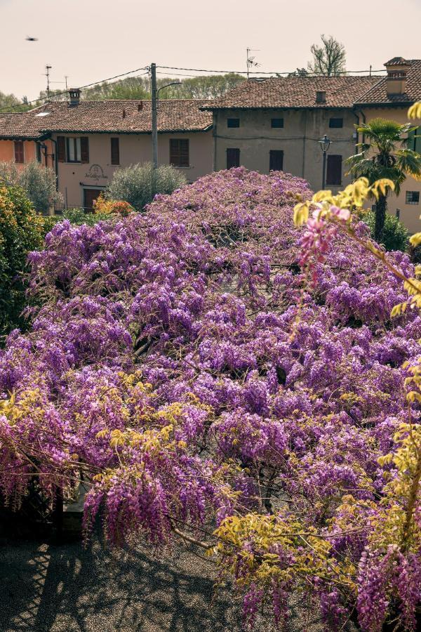 Il Glicine B&B Ristorante Cazzago San Martino Zewnętrze zdjęcie