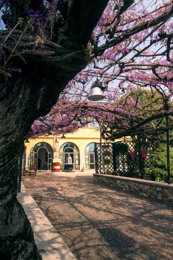 Il Glicine B&B Ristorante Cazzago San Martino Zewnętrze zdjęcie